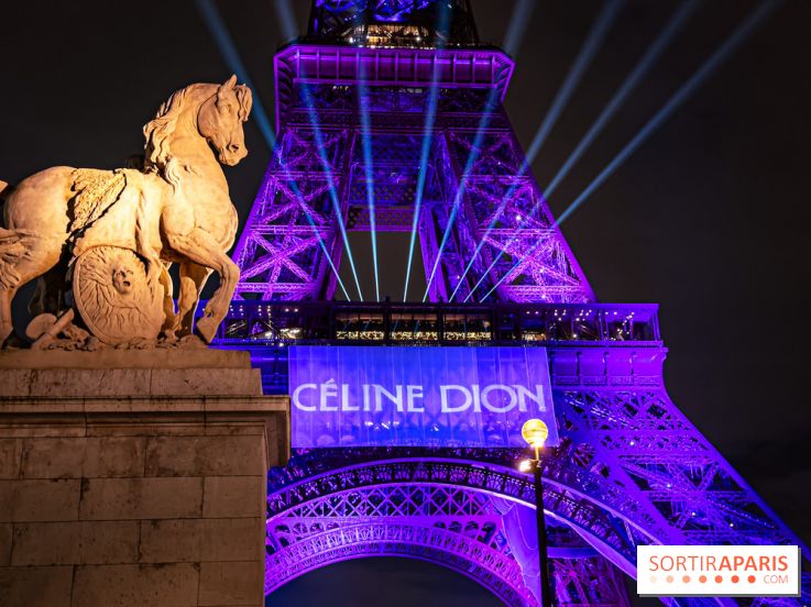 Concert de Céline Dion : 9 millions de pré-inscriptions, un record !