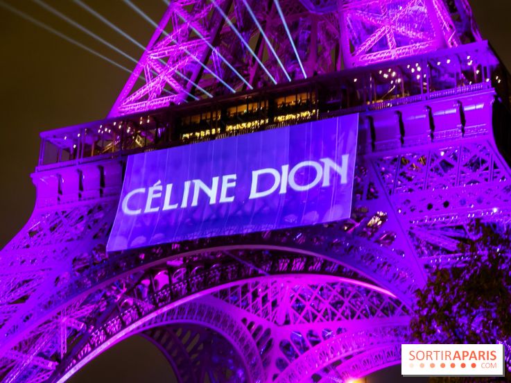 Céline Dion en concert à Paris, pourquoi la jaune est réduite ? 