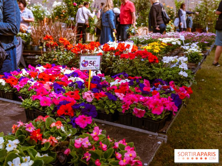 Fête des plantes de Méry
