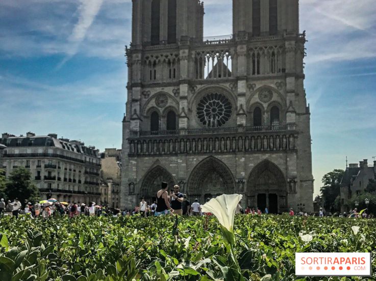 Réouverture du Parvis et de la rue du Parvis de Notre-Dame de Paris