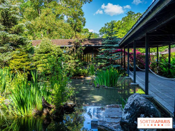 Les jardins japonais du Parc Floral de Paris au Bois de Vincennes