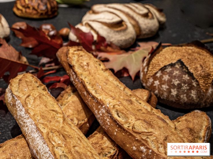 Où trouver les meilleures baguettes et pains au levain de Paris ?