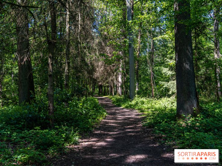 Nuit des forêts Rambouillet 2023