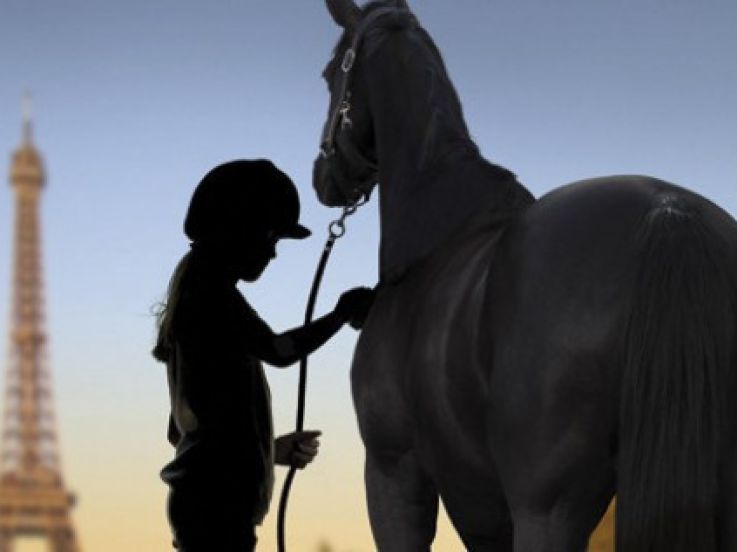 Le Salon du Cheval