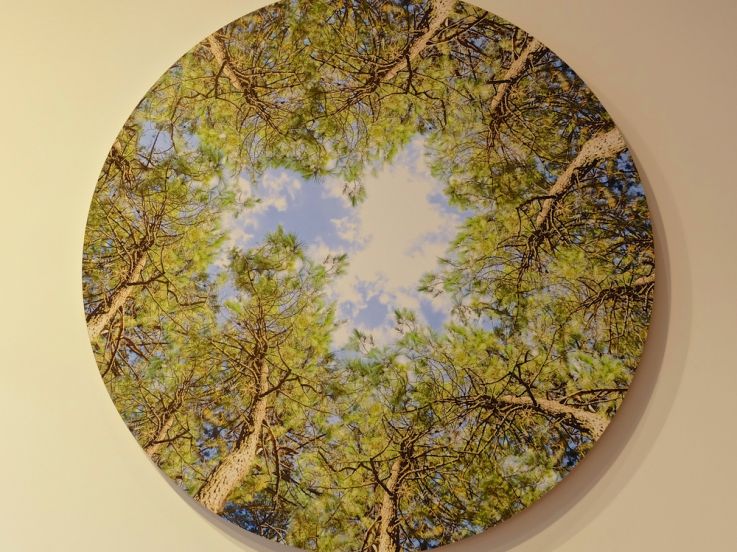 On a testé : le Bol d'air Jacquier du laboratoire Holiste