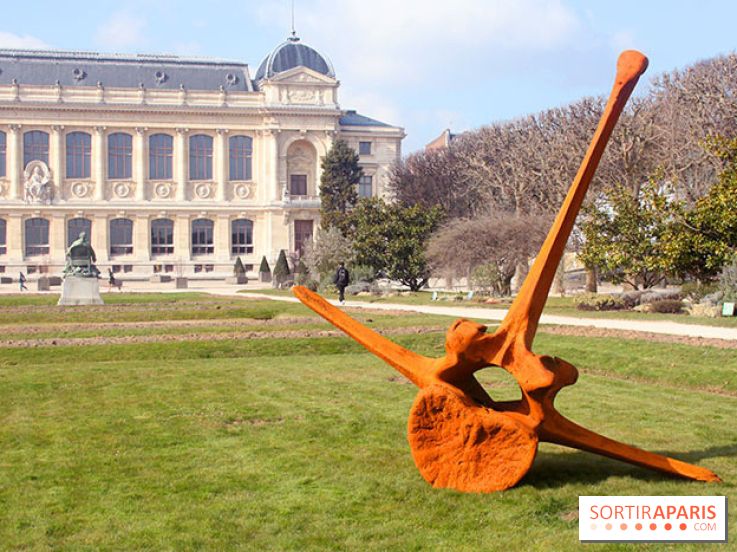 Magicien d'Os, les photos de l'expo