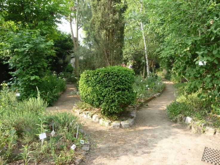 Rendez-vous aux Jardins 2024 : découvrez le jardin botanique et médicinal de Sannois (95)