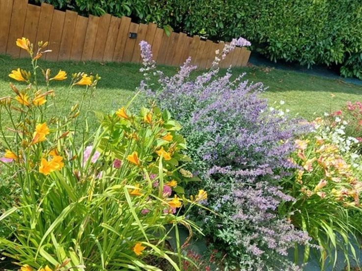 Créez votre " Parfum d'âme" lors d'un atelier champêtre pour les Rendez-Vous aux Jardins 2026 