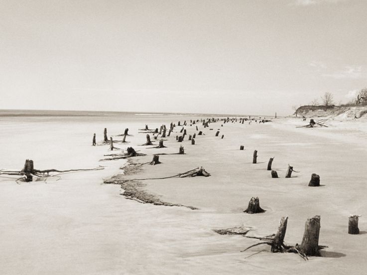 Corps littoral : l'exposition de Camille Guichard à la galerie Rachel Hardouin