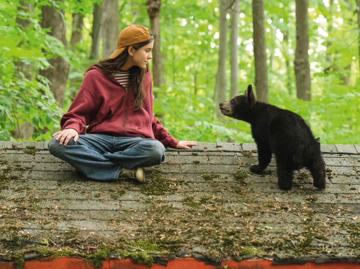 Melody pour un ours, aventure familiale avec Lucas Bravo