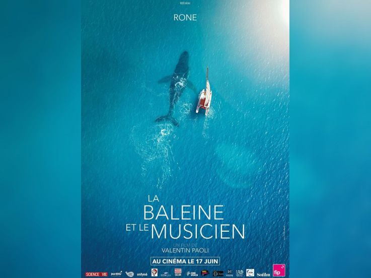 La Baleine et le musicien : Rone dialogue avec les cétacés au cinéma