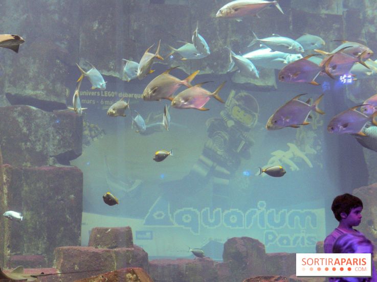 Les 60 ans de LEGO® à l'Aquarium de Paris