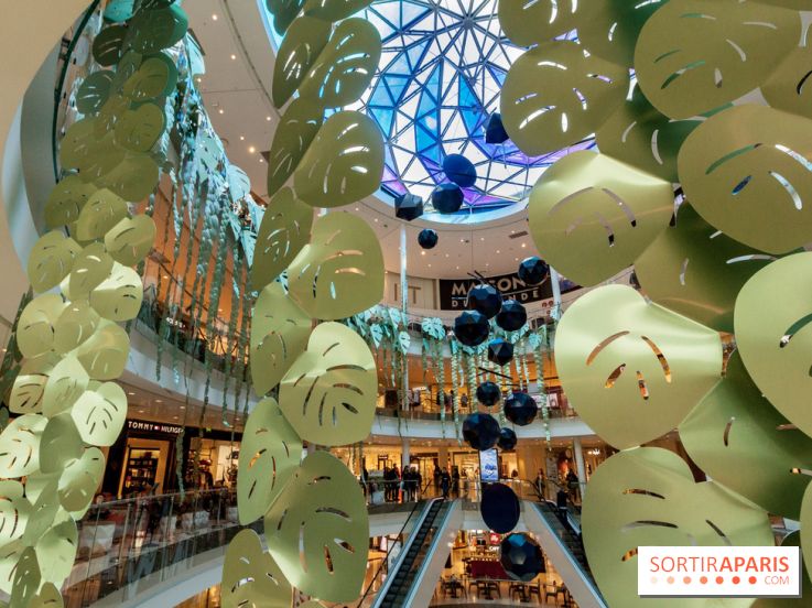 Exposition Monstera Dubia à Beaugrenelle