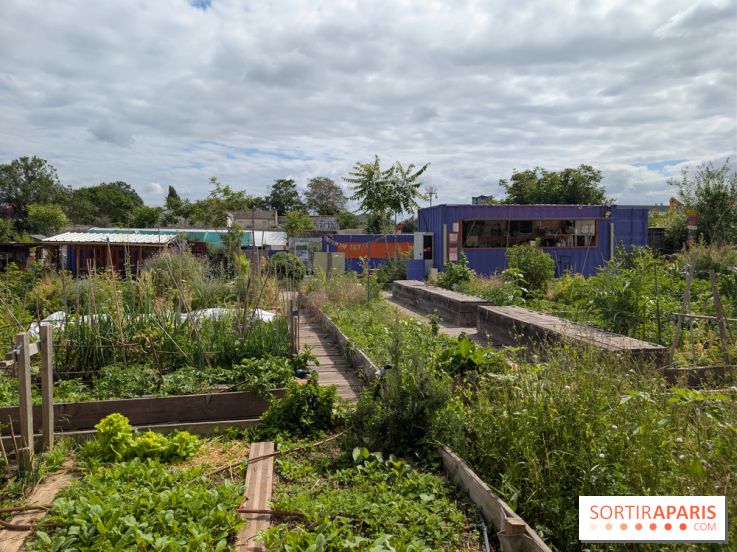 Terre Terre, la ferme-guinguette qui pousse au bord du canal à Aubervilliers (93)