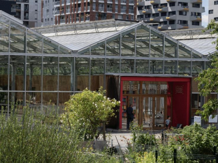 La Serre Wangari, la maison de l'écologie urbaine qui se visite à Saint-Ouen (93)
