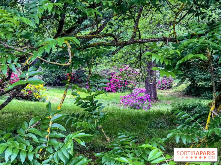 L'Arboretum de Versailles - Chevreloup