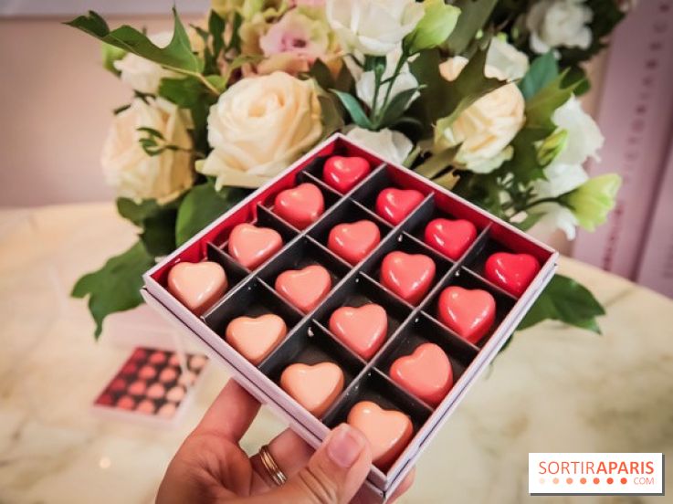 Marcolini x Victoria Beckham