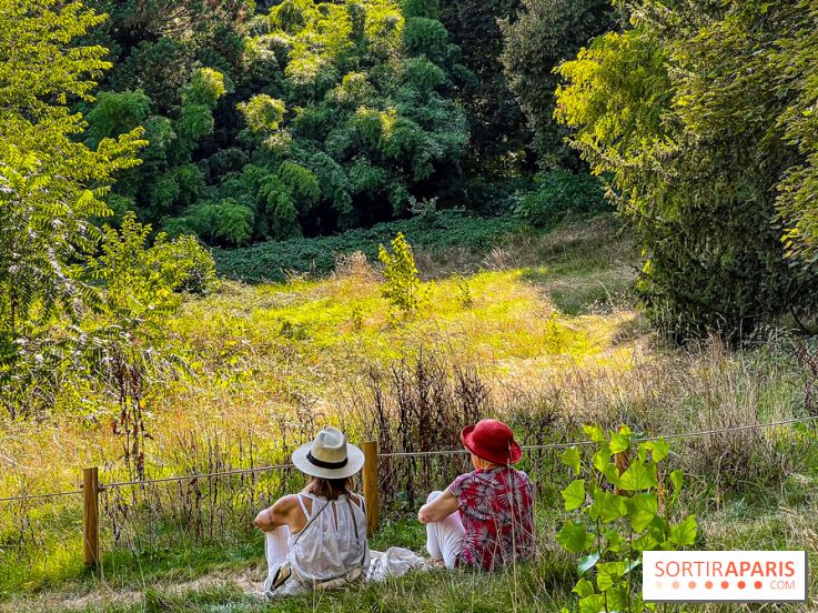 Parc de la Roseraie à Chatenay Malabry (92) : 8 hectares de verdure classés Monument Historique