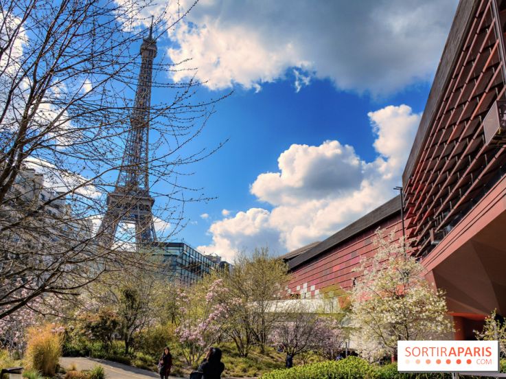 Visuel Paris, tour eiffel - Musée du Quai Branly
