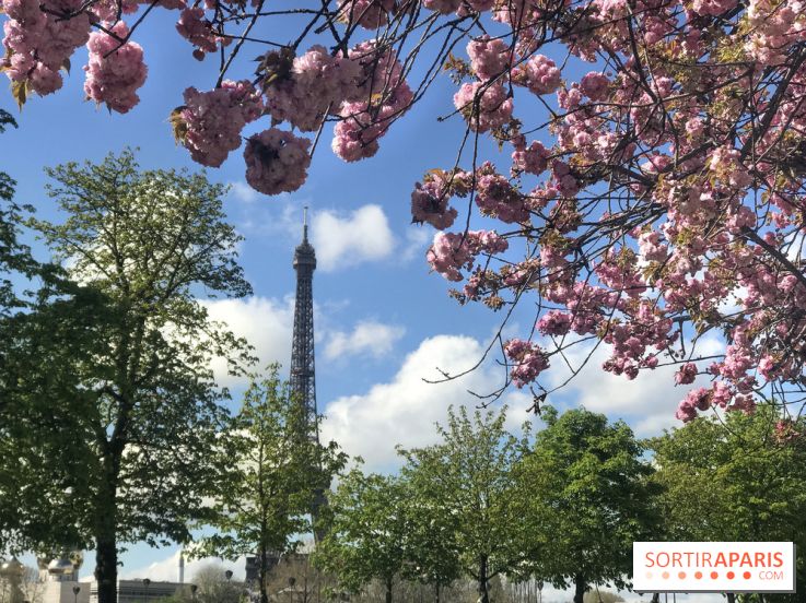 Visuel Paris, Tour Eiffel printemps
