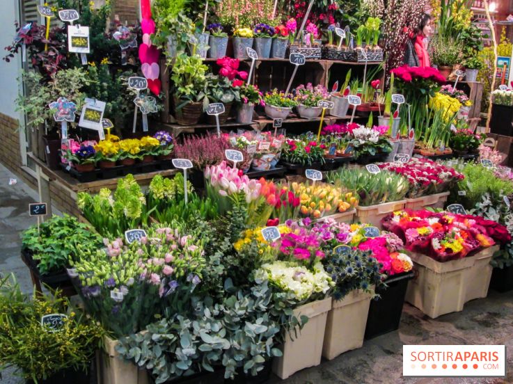 Visuel Paris marché d'Aligre fleurs