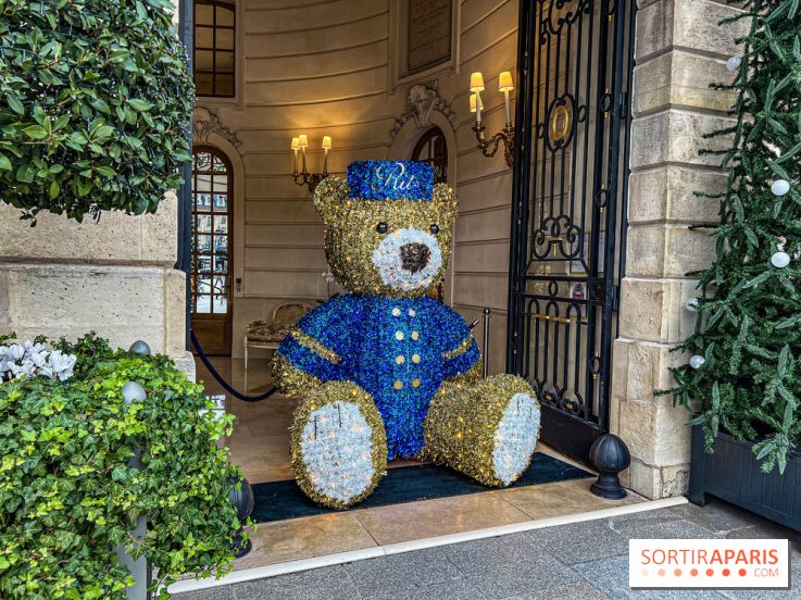 Paris visuel - noel Paris - ritz Paris