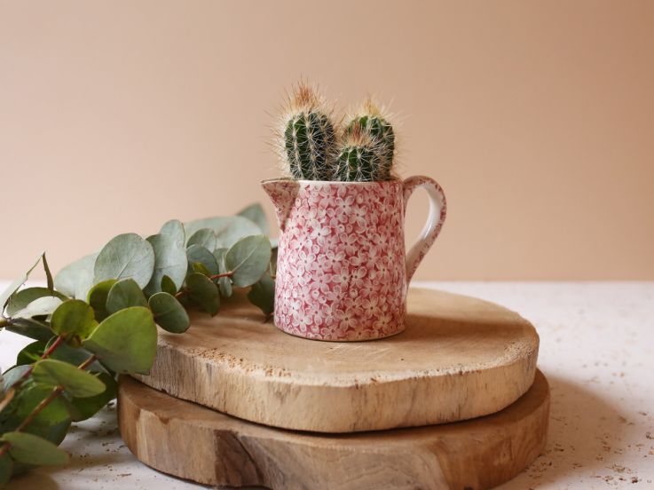 The Blond Cactus, quand le cactus passe en mode vintage