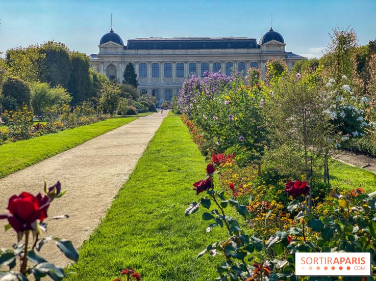 Le Jardin des Plantes