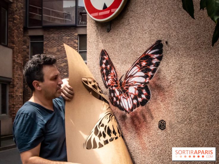 Les Papillons de C215