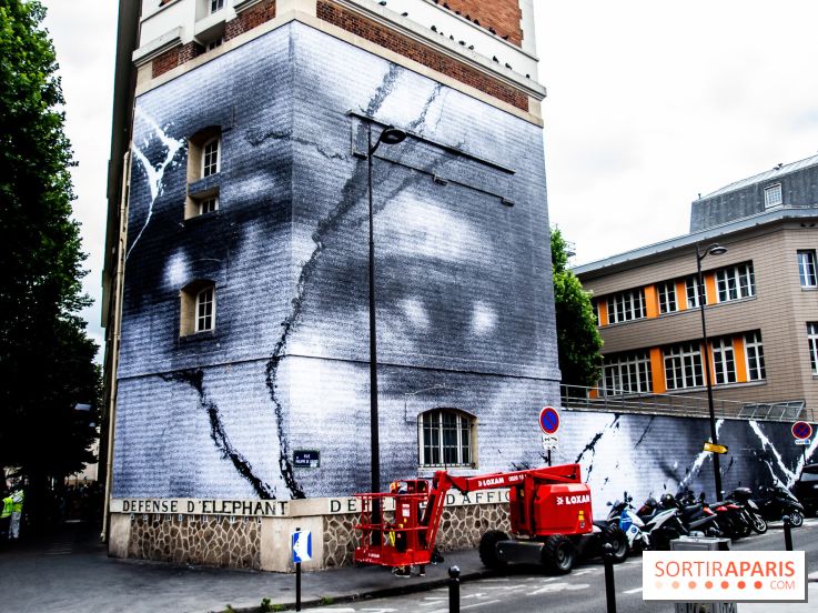 Hommage à Adama Traoré : l'artiste JR dévoile un collage géant à Paris, les photos