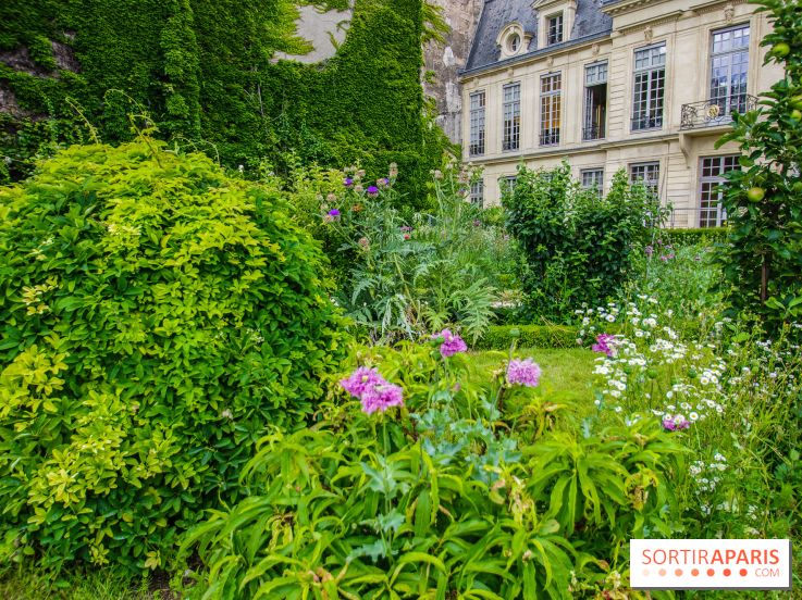 Le jardin des Arts-Albert Schweitzer à Paris, les photos