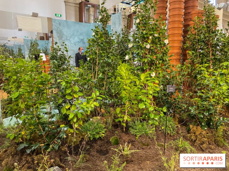 La beauté se cultive, Chanel au Jardin des Plantes