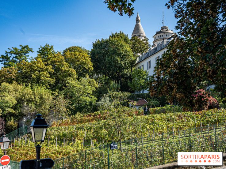 Montmartre Paris - fete des vendanges