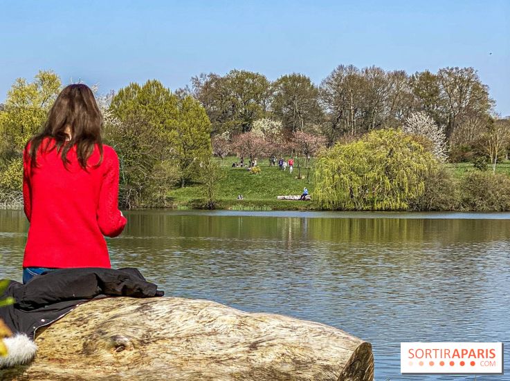 Les cerisiers et arbres en fleurs de l’Arboretum de Chevreloup