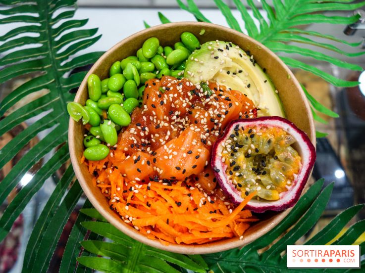 Pokelife, les photos