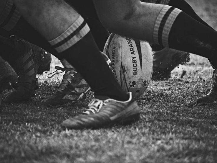Autumn Nations Series : où voir les prochains matchs de rugby des Bleus au Stade de France ?