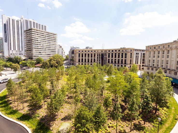 Sant Jordi 2026 : marché aux livres et aux roses et animations sur la Place de Catalogne
