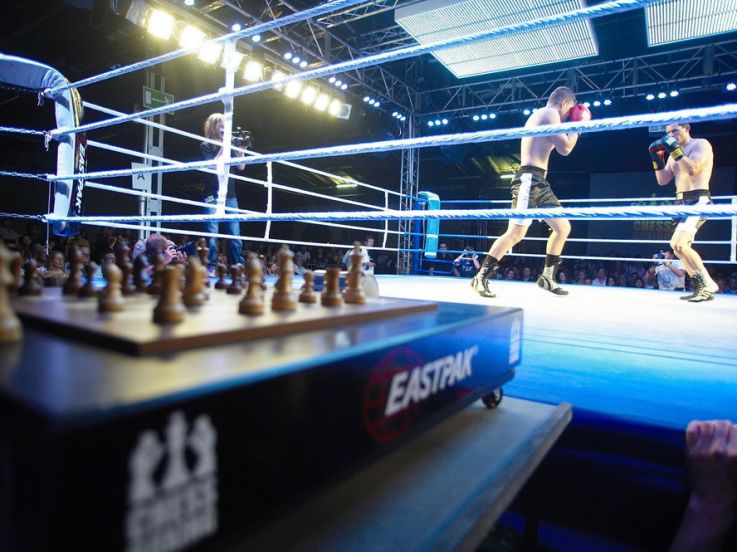 Assistez à des combats de chessboxing au Cabaret Sauvage, entre boxe anglaise et échecs