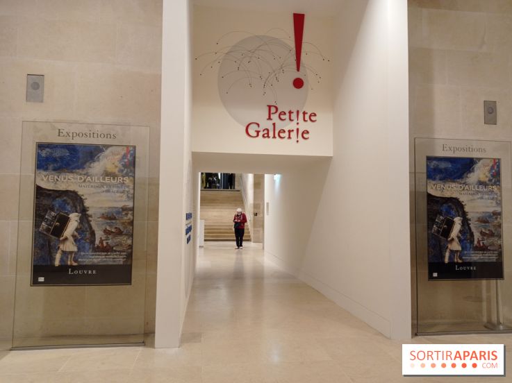 Venus d'ailleurs, matériaux et objets voyageurs