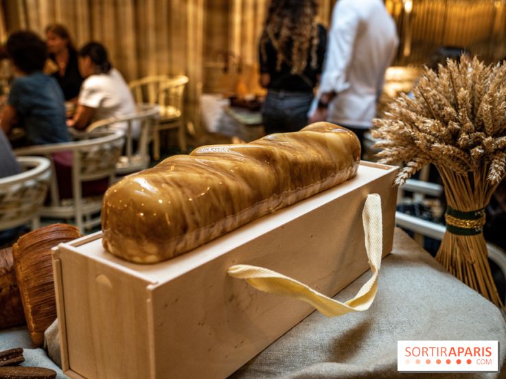 Photos : Les Bûches de Noël 2021 et galettes 2022 de Pierre Chirac et Stephanie Le Quellec