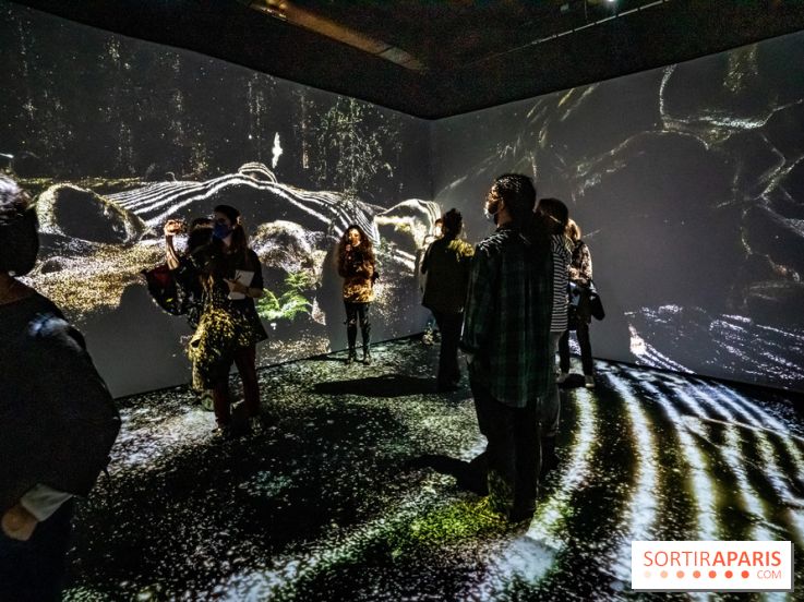 Photos : Odyssée sensorielle, l’expo immersive au Museum 