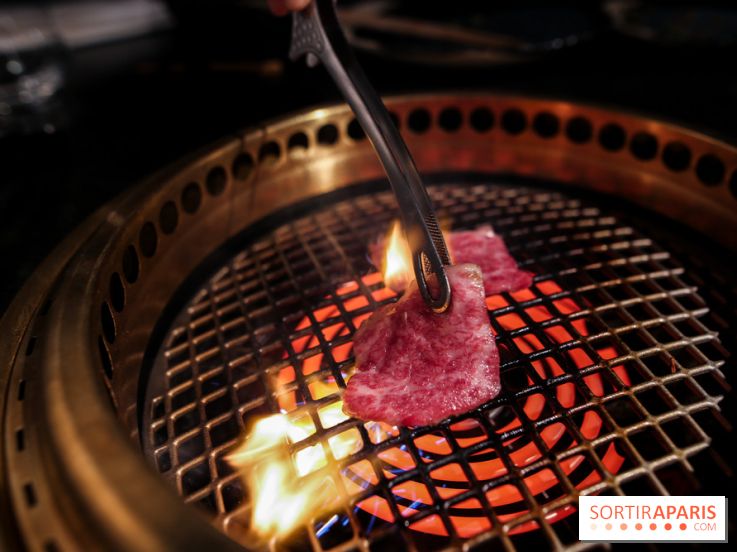 1129 iiniku, nos photos