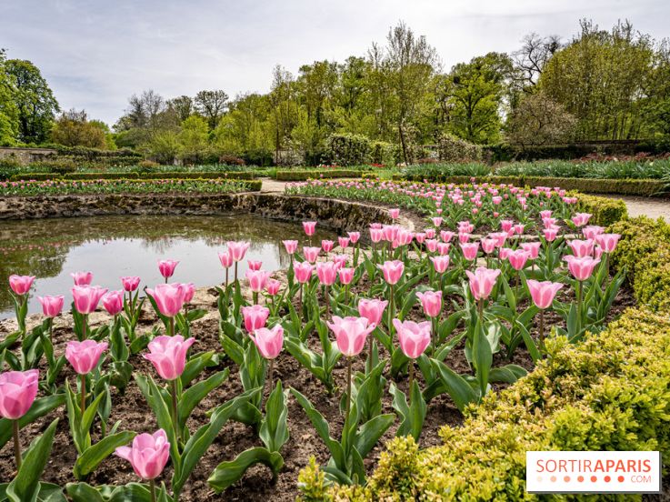 Le Château de Saint-Jean de Beauregard et son Jardin remarquable