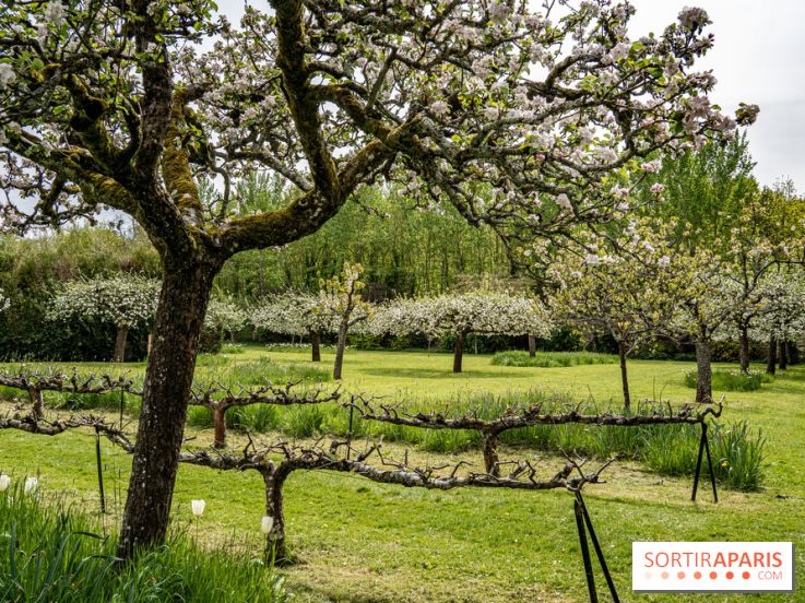 Le Château de Saint-Jean de Beauregard et son Jardin remarquable