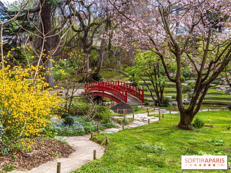 Les jardins du Musée Albert Kahn, nos photos