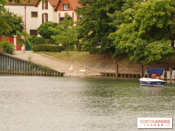 L’île Fanac à Joinville-le-Pont, un lieu incontournable à découvrir dans le Val de Marne