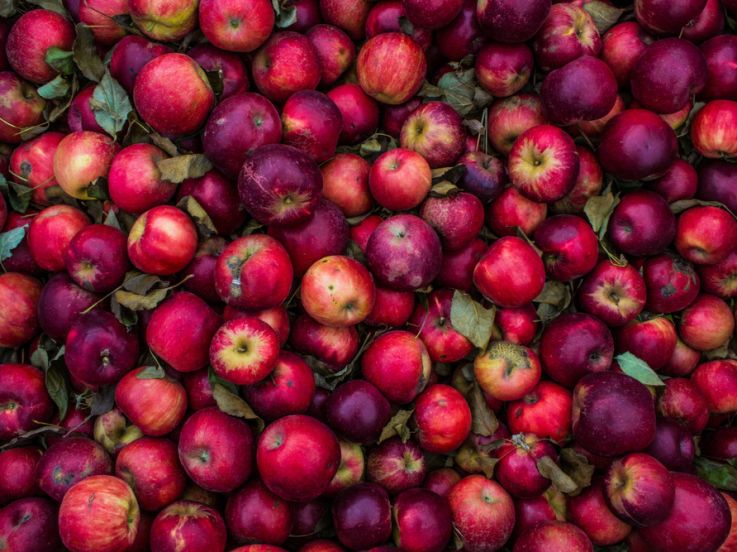 Fête de la Pomme 2024 : animations, ateliers découverte et jeux à la ferme de Saint-Cyr l'Ecole (78)