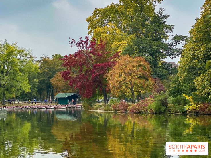 Bois de Vincennes automne