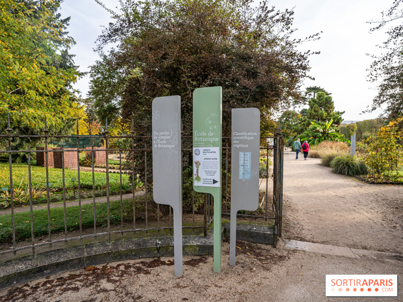 Le Jardin Alpin caché du Jardin des Plantes