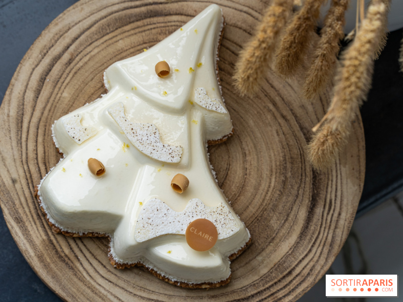 La Bûche de Noël de Claire Heitzler 2022